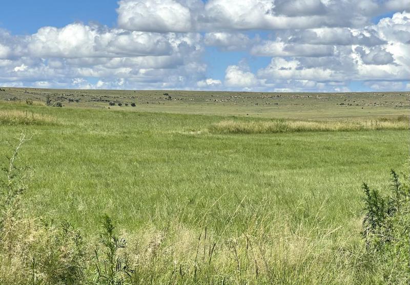 0 Bedroom Property for Sale in Lindley Free State